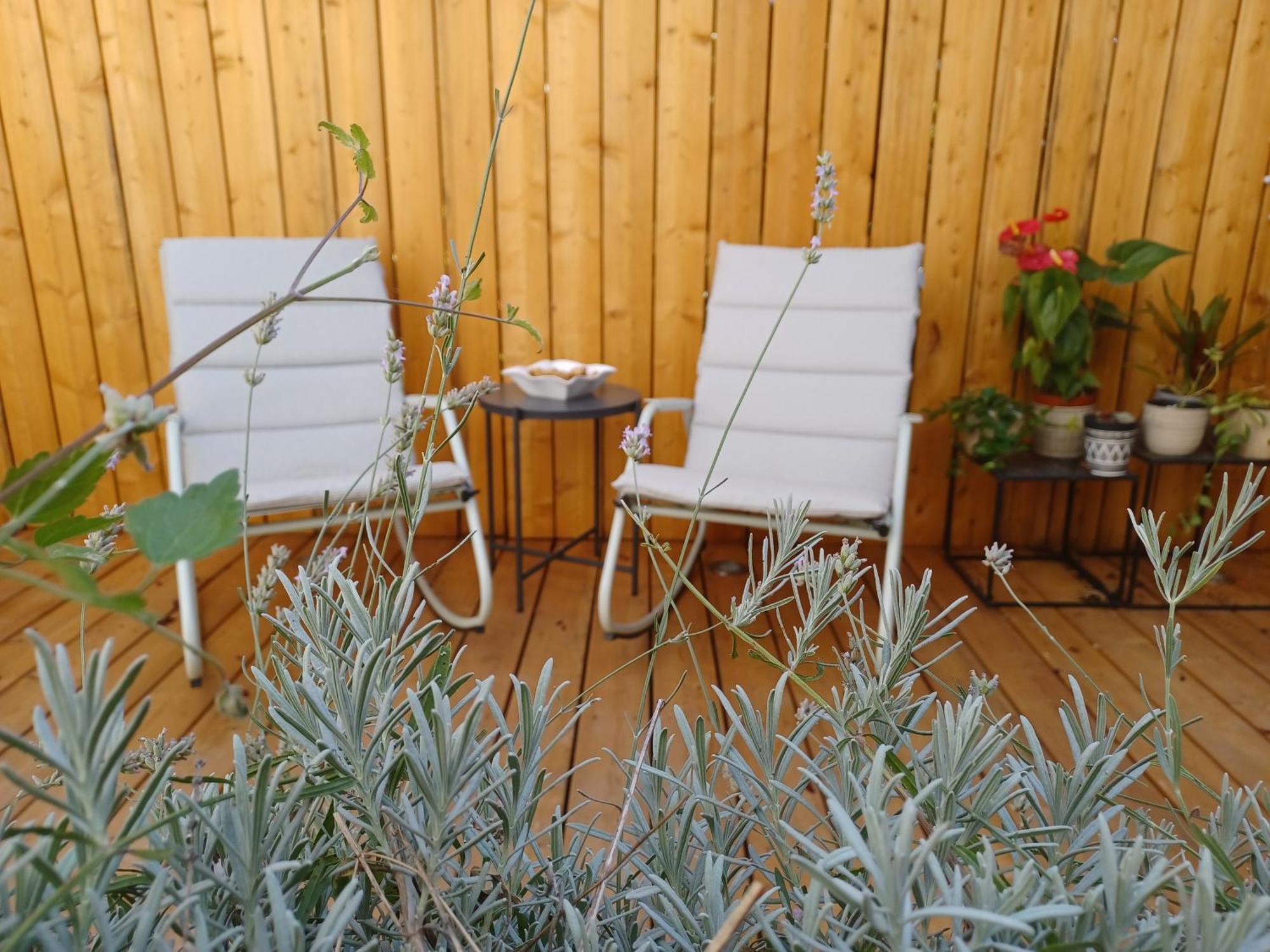 Serenity Indepedent Suite Near To Disneyland & Paris Μπισί-Σεν Ζορζ Εξωτερικό φωτογραφία